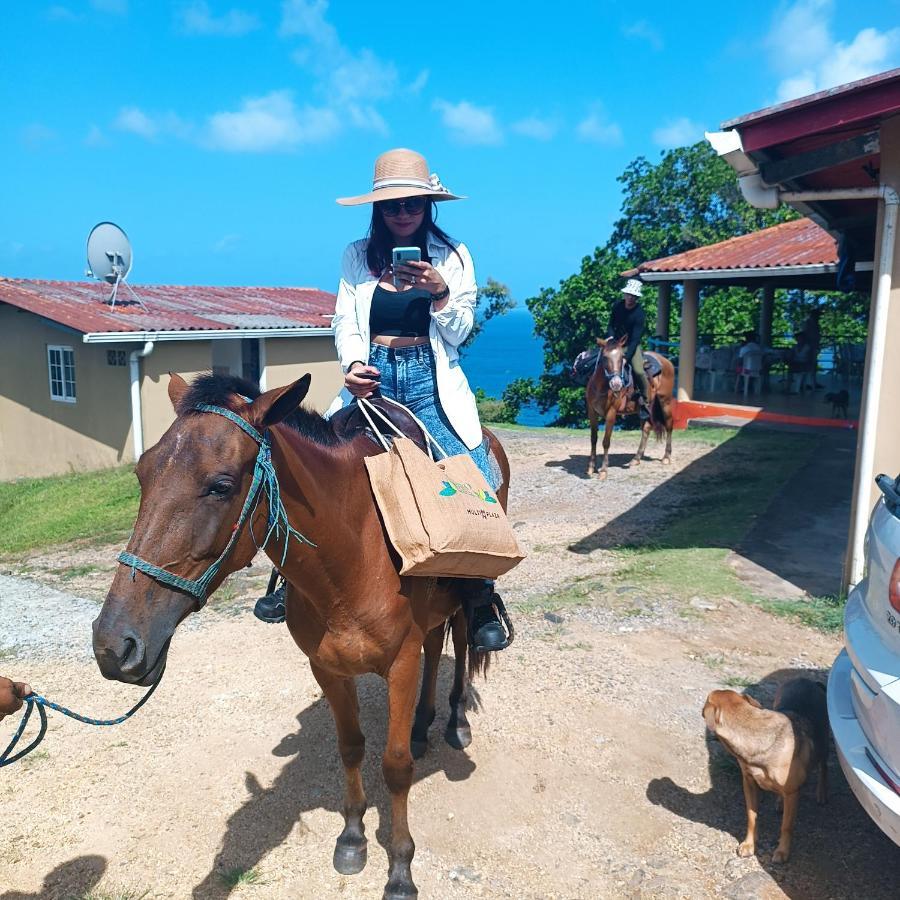 Rancho Juancho Hotel Portobelo Buitenkant foto