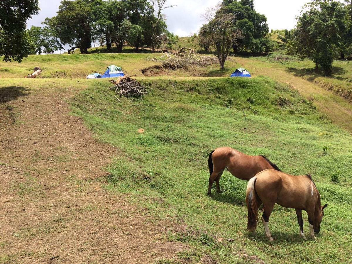 Rancho Juancho Hotel Portobelo Buitenkant foto